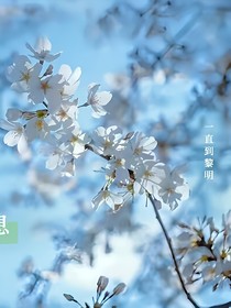 自是花開再見時