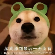 舔狗日记，想舔多久就舔多久