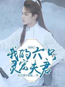 NPC：我的靈寵夫君