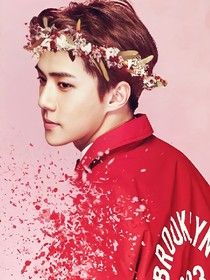 EXO:世勋的小傲娇