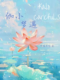 伽?。簤?mèng)遇