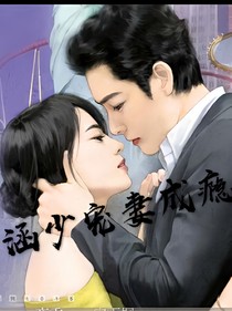 涵少宠妻成瘾
