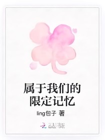 属于我们的限定记忆