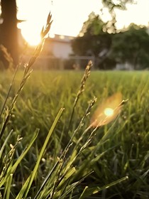 [白你]貌似死敌