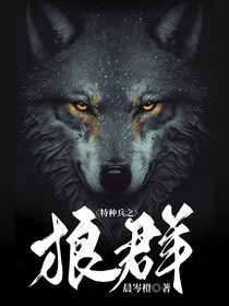 特种兵之狼群
