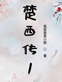楚西传