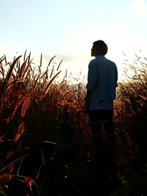 致經(jīng)典麥田里的守望者