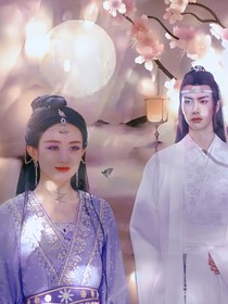 陈情令一翩惊鸿
