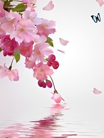 樱花：魔法少女的相遇