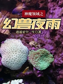 神魔领域之幻兽夜雨