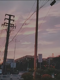 定制文.三分男友