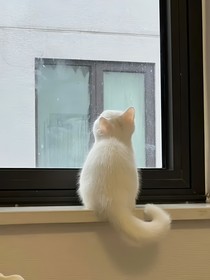 新正，愛(ài)了你這么多年