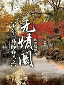 少年白马醉春风之无情阁