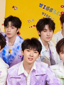TF家族然后