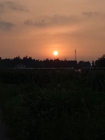 综影视月光