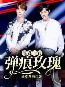 博君一肖：弹痕玫瑰