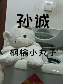 孙诚