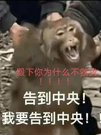 仙乐国破后戚容躲猫猫的二三事