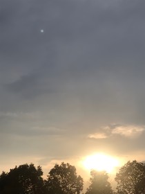 那年樹下，我們四個，碰巧相遇