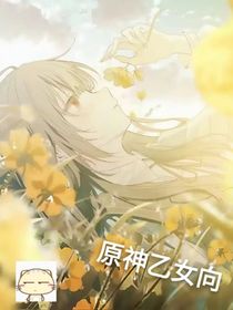 ：原神乙女向