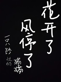 花开了，风停了