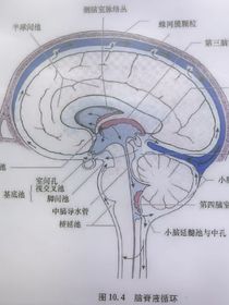 一个世界姐的自学画画