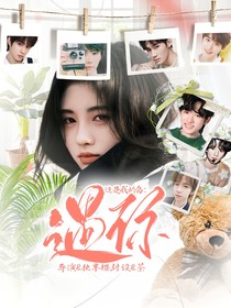 這是我的島：遇你
