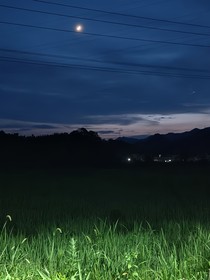 養(yǎng)蛇人oc