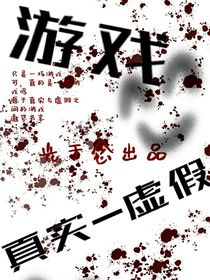 真实虚假的游戏