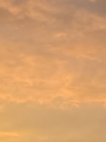 穿越之我助君成功