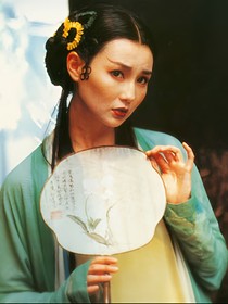 HP小青的宠物小哈
