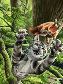 猫武士：我不想说什么