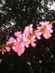 深渊的山