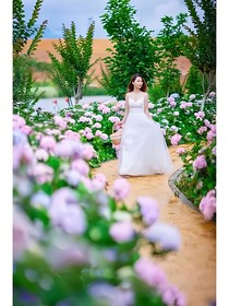 腹黑儿子妖孽娘亲