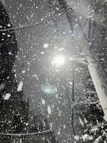 情嘆遺憾