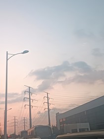 那片海是腐烂的玫瑰