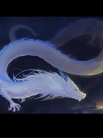 双龙之轮