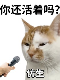 超級(jí)大整合