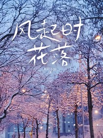 風起時花落