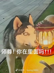 假如墨燃没有烧掉斗篷