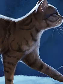 猫武士：巫医命途