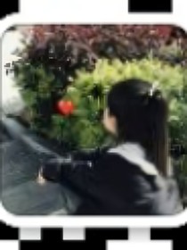 校园开篇