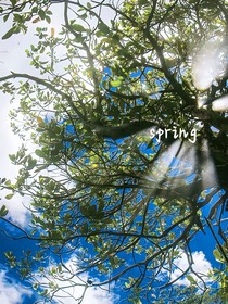 spring，
