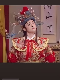 香蜜之白衣小殿下