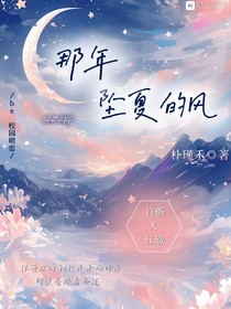 那年坠夏的风