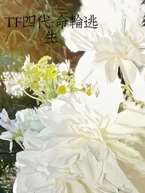 TF四代：命轮游戏