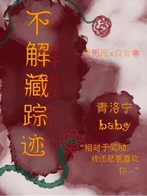 不解藏踪迹