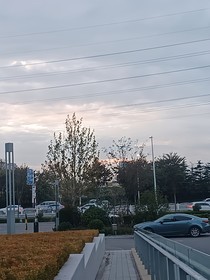 逃亡之都