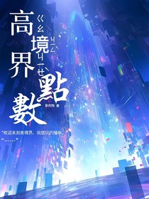高境界点数