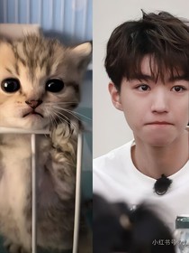 小凯：迷人的小妖精